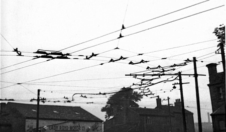 Lexmark Scan1 Lexmark Scan1