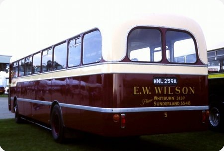 Economic Bus Service - AEC Reliance - 8031 PT - 5 Economic Bus Service - AEC Reliance - 8031 PT - 5
